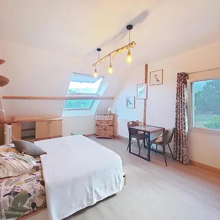B&B Oiseau